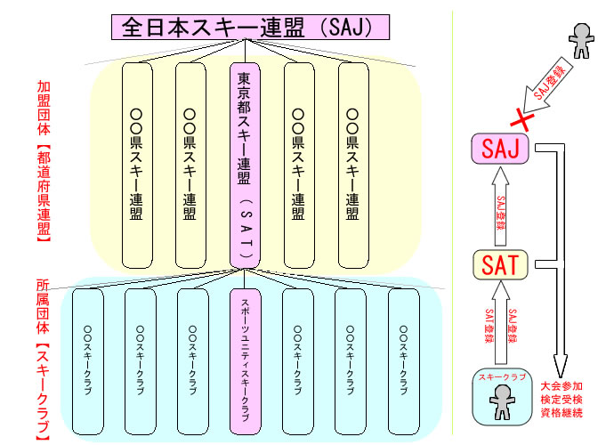 組織階層図